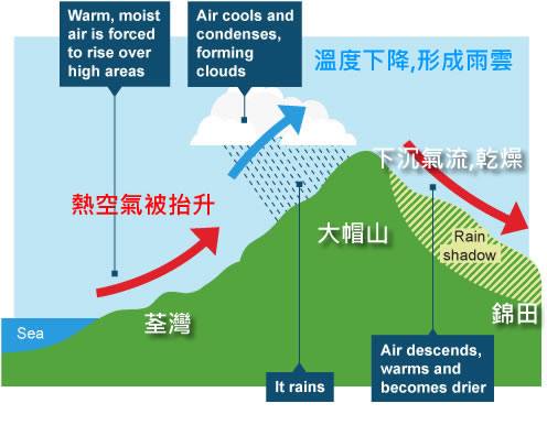 向風坡的一方，荃灣及青衣等地下大雨，而背風坡的錦田則較為少雨。